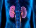 Cabozantinib most effective treatment for metastatic papillary kidney cancer: Study - Hindi News | Cabozantinib most effective treatment for metastatic papillary kidney cancer: Study | Latest health News at Lokmattimes.com