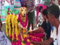 Andhra: Bronze statue of dog erected on its fifth death anniversary - Hindi News | Andhra: Bronze statue of dog erected on its fifth death anniversary | Latest national News at Lokmattimes.com