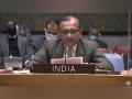Amid terrorist attack, India at UNSC calls for protection of civilians in Congo - Hindi News | Amid terrorist attack, India at UNSC calls for protection of civilians in Congo | Latest international News at Lokmattimes.com
