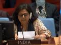 India slams Pakistan at UNSC, asks it to vacate illegally occupied areas of J-K - Hindi News | India slams Pakistan at UNSC, asks it to vacate illegally occupied areas of J-K | Latest international News at Lokmattimes.com