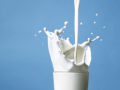 J&K officials suspend licence of milk unit in Bijbehara over violations - Hindi News | J&K officials suspend licence of milk unit in Bijbehara over violations | Latest national News at Lokmattimes.com