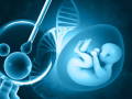 Genetic testing of IVF embryos can help women over 35 conceive faster: Study - Hindi News | Genetic testing of IVF embryos can help women over 35 conceive faster: Study | Latest technology News at Lokmattimes.com