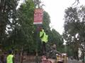 Dehradun civic body starts removing posters, banners of parties as poll code comes into force - Hindi News | Dehradun civic body starts removing posters, banners of parties as poll code comes into force | Latest national News at Lokmattimes.com