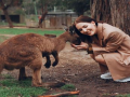 Research says, Kangaroos can communicate with humans - Hindi News | Research says, Kangaroos can communicate with humans | Latest lifestyle News at Lokmattimes.com