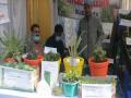 Kissan Mela organised by agriculture dept in J-K's Anantnag - Hindi News | Kissan Mela organised by agriculture dept in J-K's Anantnag | Latest national News at Lokmattimes.com