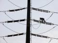 Power supply resumes in Chennai after night-long disruption - Hindi News | Power supply resumes in Chennai after night-long disruption | Latest national News at Lokmattimes.com