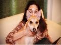 Madhuri Dixit spends 'Boooyaaah' Sunday with her dog - Hindi News | Madhuri Dixit spends 'Boooyaaah' Sunday with her dog | Latest entertainment News at Lokmattimes.com