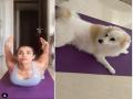 Malaika Arora shares glimpse of yoga session with pet Casper - Hindi News | Malaika Arora shares glimpse of yoga session with pet Casper | Latest maharashtra News at Lokmattimes.com