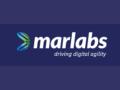 Vikas Kumar appointed Chief Commercial Officer at Marlabs - Hindi News | Vikas Kumar appointed Chief Commercial Officer at Marlabs | Latest business News at Lokmattimes.com