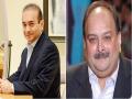ED brings back 108 consignments worth Rs 1,350 cr belonging to Nirav Modi, Mehul Choksi to India - Hindi News | ED brings back 108 consignments worth Rs 1,350 cr belonging to Nirav Modi, Mehul Choksi to India | Latest national News at Lokmattimes.com