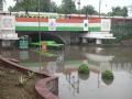 Delhi rains: Body found under waterlogged Minto Bridge - Hindi News | Delhi rains: Body found under waterlogged Minto Bridge | Latest national News at Lokmattimes.com
