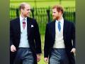 Prince William, Prince Harry won't walk next to each other at Prince Philip's funeral, Palace confirms - Hindi News | Prince William, Prince Harry won't walk next to each other at Prince Philip's funeral, Palace confirms | Latest entertainment News at Lokmattimes.com