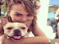 Chrissy Teigen mourns death of her French bulldog Pippa - Hindi News | Chrissy Teigen mourns death of her French bulldog Pippa | Latest entertainment News at Lokmattimes.com