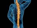Researchers develop stimulators that could aid spinal cord, heart therapies - Hindi News | Researchers develop stimulators that could aid spinal cord, heart therapies | Latest technology News at Lokmattimes.com