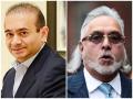 Many Indians illegally entering UK deported but billionaire fugitives Mallya, Nirav evade extradition - Hindi News | Many Indians illegally entering UK deported but billionaire fugitives Mallya, Nirav evade extradition | Latest international News at Lokmattimes.com