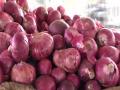 Uttarakhand: Onions leave customers teary-eyed in Haldw - Hindi News | Uttarakhand: Onions leave customers teary-eyed in Haldw | Latest national News at Lokmattimes.com