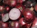 'Tearless' onions to hit supermarket shelves in Aus - Hindi News | 'Tearless' onions to hit supermarket shelves in Aus | Latest international News at Lokmattimes.com