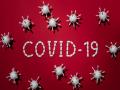 Research sheds light on durability and effectiveness of immune response against COVID-19 - Hindi News | Research sheds light on durability and effectiveness of immune response against COVID-19 | Latest health News at Lokmattimes.com