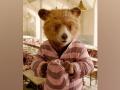 Paddington returning with third movie! - Hindi News | Paddington returning with third movie! | Latest entertainment News at Lokmattimes.com