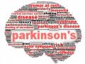 Study reveals flavonoids might reduce risk of death in Parkinson's disease patients - Hindi News | Study reveals flavonoids might reduce risk of death in Parkinson's disease patients | Latest health News at Lokmattimes.com