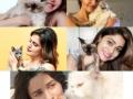 Catwomen: Alia isn't the only Bollywood celeb in love with furry felines - Hindi News | Catwomen: Alia isn't the only Bollywood celeb in love with furry felines | Latest international News at Lokmattimes.com