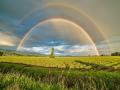 Hawaii best place on Earth to experience the wonder of rainbows, feels scientist - Hindi News | Hawaii best place on Earth to experience the wonder of rainbows, feels scientist | Latest technology News at Lokmattimes.com