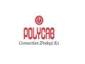 Polycab India Ltd. appoints Vivek Sharma as Deputy Managing Director - Hindi News | Polycab India Ltd. appoints Vivek Sharma as Deputy Managing Director | Latest business News at Lokmattimes.com