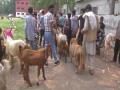 Goat market set up in J-K's Poonch ahead of Eid-ul-Azha - Hindi News | Goat market set up in J-K's Poonch ahead of Eid-ul-Azha | Latest national News at Lokmattimes.com