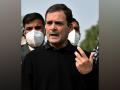 Consent is amongst most underrated concepts in our society, says Rahul Gandhi on marital rape - Hindi News | Consent is amongst most underrated concepts in our society, says Rahul Gandhi on marital rape | Latest national News at Lokmattimes.com