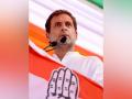 Congress accuses Twitter of manipulation in followers' count of Rahul Gandhi - Hindi News | Congress accuses Twitter of manipulation in followers' count of Rahul Gandhi | Latest politics News at Lokmattimes.com
