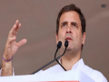 Rahul Gandhi pitches for spice park, mega food park in Wayanad - Hindi News | Rahul Gandhi pitches for spice park, mega food park in Wayanad | Latest national News at Lokmattimes.com