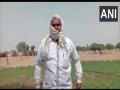 Locust attack in Rajasthan village, farmer says crops destroyed - Hindi News | Locust attack in Rajasthan village, farmer says crops destroyed | Latest national News at Lokmattimes.com