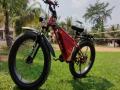 Assam youth develops 'theft-proof' Electronic bicycle - Hindi News | Assam youth develops 'theft-proof' Electronic bicycle | Latest national News at Lokmattimes.com