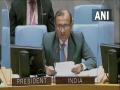 Zero tolerance for terrorism in all forms needed for enduring Afghan peace: Tirumurti at UNSC - Hindi News | Zero tolerance for terrorism in all forms needed for enduring Afghan peace: Tirumurti at UNSC | Latest international News at Lokmattimes.com
