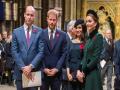 The royals team up to share powerful message on mental health - Hindi News | The royals team up to share powerful message on mental health | Latest entertainment News at Lokmattimes.com