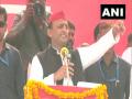 BJP has gone 'cold and meek' during voting in four phases of UP assembly polls: Akhilesh Yadav - Hindi News | BJP has gone 'cold and meek' during voting in four phases of UP assembly polls: Akhilesh Yadav | Latest politics News at Lokmattimes.com