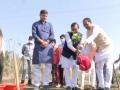 Madhya Pradesh CM celebrates birthday with a tree plantation drive - Hindi News | Madhya Pradesh CM celebrates birthday with a tree plantation drive | Latest national News at Lokmattimes.com
