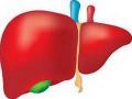 Growth hormone assists with liver regeneration post-surgery, says study - Hindi News | Growth hormone assists with liver regeneration post-surgery, says study | Latest health News at Lokmattimes.com