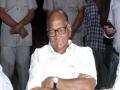 Pawar meets Sonia, says mandate to sit in opposition - Hindi News | Pawar meets Sonia, says mandate to sit in opposition | Latest national News at Lokmattimes.com