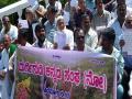 Shivamogga: Environmentalists protest against govt's plan to take Sharavathi River to Bengaluru - Hindi News | Shivamogga: Environmentalists protest against govt's plan to take Sharavathi River to Bengaluru | Latest national News at Lokmattimes.com