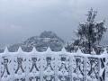 Shimla delights tourists, locals as fresh snow gives city a picturesque postcard feel - Hindi News | Shimla delights tourists, locals as fresh snow gives city a picturesque postcard feel | Latest national News at Lokmattimes.com