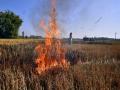 Submit report on your plans to control stubble burning: SC to Centre - Hindi News | Submit report on your plans to control stubble burning: SC to Centre | Latest national News at Lokmattimes.com