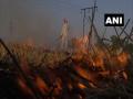 Stop stubble burning in Punjab, Haryana, UP in view of COVID-19 situation: Plea in Delhi HC - Hindi News | Stop stubble burning in Punjab, Haryana, UP in view of COVID-19 situation: Plea in Delhi HC | Latest national News at Lokmattimes.com