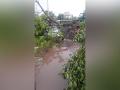 Two dead, several injured as rain wreaks havoc in Delhi - Hindi News | Two dead, several injured as rain wreaks havoc in Delhi | Latest national News at Lokmattimes.com