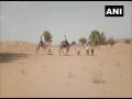 Teachers traveling by camel to teach students lacking mobile networks in rural Rajasthan - Hindi News | Teachers traveling by camel to teach students lacking mobile networks in rural Rajasthan | Latest national News at Lokmattimes.com