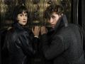 'Fantastic Beasts 3' gets title, release date - Hindi News | 'Fantastic Beasts 3' gets title, release date | Latest entertainment News at Lokmattimes.com