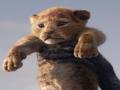 'The Lion King' is unstoppable, crosses Rs 75 crore mark - Hindi News | 'The Lion King' is unstoppable, crosses Rs 75 crore mark | Latest entertainment News at Lokmattimes.com