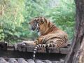 West Bengal: Zoos to reopen from Oct 2, parks and gardens from Sept 23 - Hindi News | West Bengal: Zoos to reopen from Oct 2, parks and gardens from Sept 23 | Latest national News at Lokmattimes.com