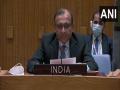 'International Day to Combat Islamophobia' might downplay phobias against other religions: India at UNGA - Hindi News | 'International Day to Combat Islamophobia' might downplay phobias against other religions: India at UNGA | Latest international News at Lokmattimes.com