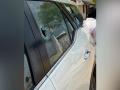 TN polls: AIADMK MP Ravindranath's car attacked in Bodinayakanur - Hindi News | TN polls: AIADMK MP Ravindranath's car attacked in Bodinayakanur | Latest national News at Lokmattimes.com